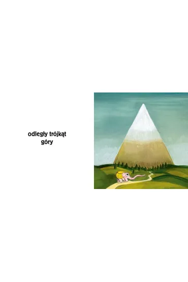 Pomelo i kszta�ty - Benjamin Chaud, Ramona B�descu