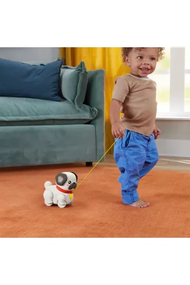 Fisher-Price. Pets Spacerowy Mopsik Mattel