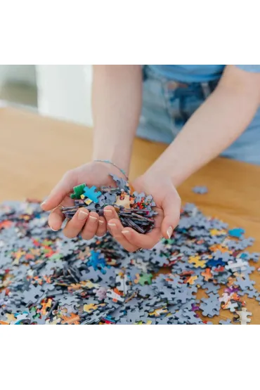 Puzzle 13500 el. The Journey of Thousand Miles Trefl