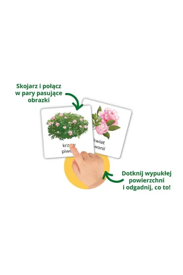 Montessori. Przyroda tu i tam. Karty sensoryczne z ksi��eczk�. Kapitan Nauka - Katarzyna  Do�hun