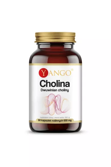 Yango Cholina 650 mg - suplement diety 90 kaps.