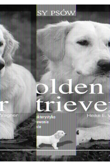 Golden retrieve. Rasy ps�w - Heike E. Wagner