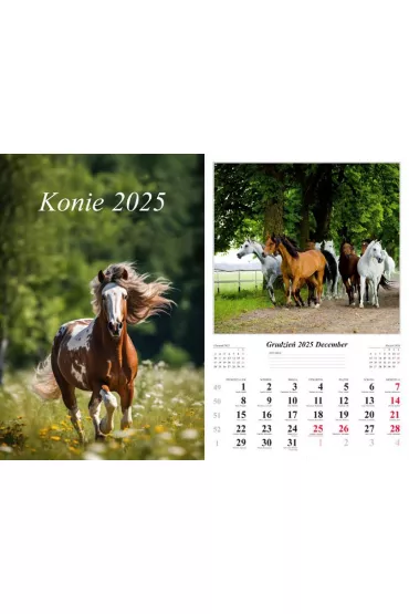 Kalendarz 2025 �cienny Konie