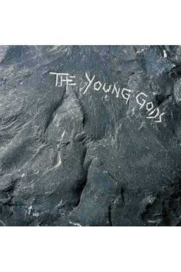 The Young Gods (vinyl) - The Young Gods