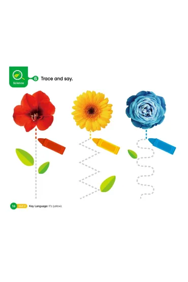 Little Hands 1. Activity Book - Jackie Roh
