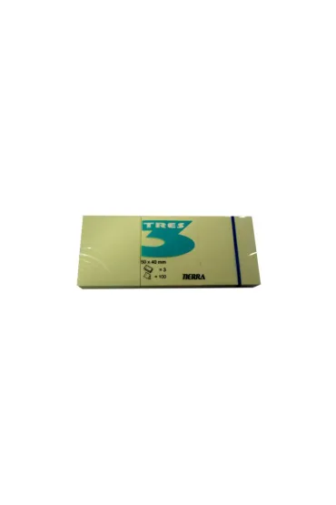Tierra Group Notes Tres pastel