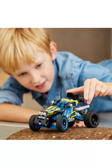 LEGO Technic Wycigowy azik terenowy 42164