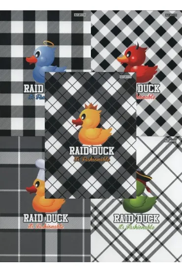 Hamelin Zeszyty A5 Ride duck trzy linie 16 kartek 20 szt.