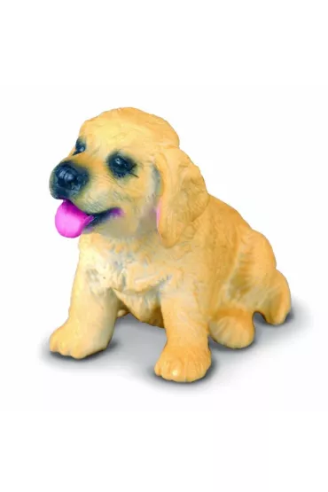 Pies golden retriever szczeniak