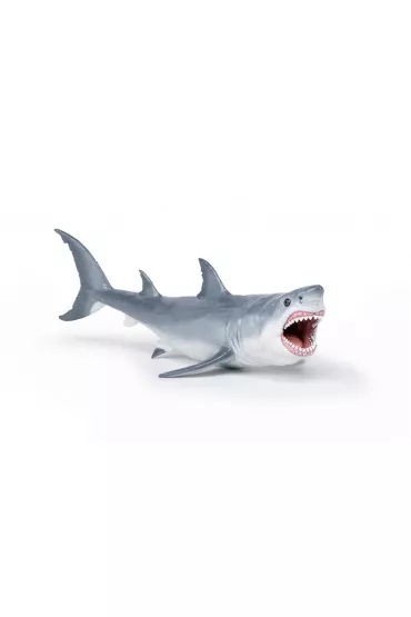 Megalodon