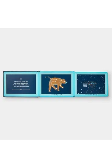 Animals in the Sky - Sara  Gillingham