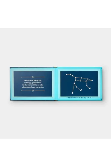 Animals in the Sky - Sara  Gillingham