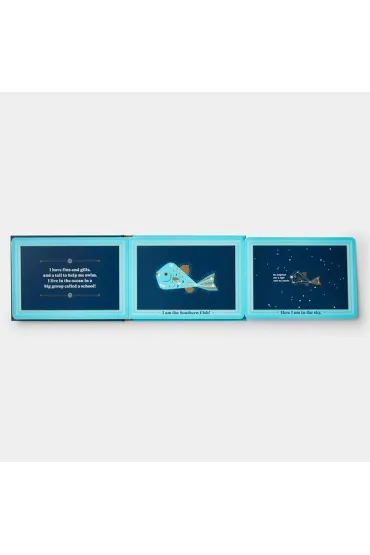 Animals in the Sky - Sara  Gillingham