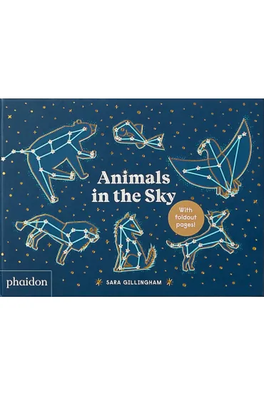 Animals in the Sky - Sara  Gillingham