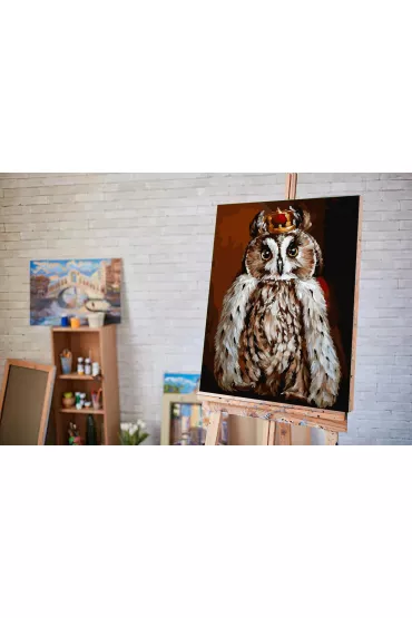 Twoje Hobby Malowanie po numerach - Sowa kr�lewska� 40x50cm