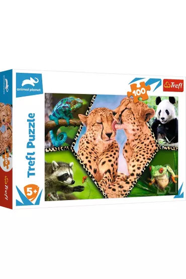Puzzle 100 el. Pi�kno natury Trefl