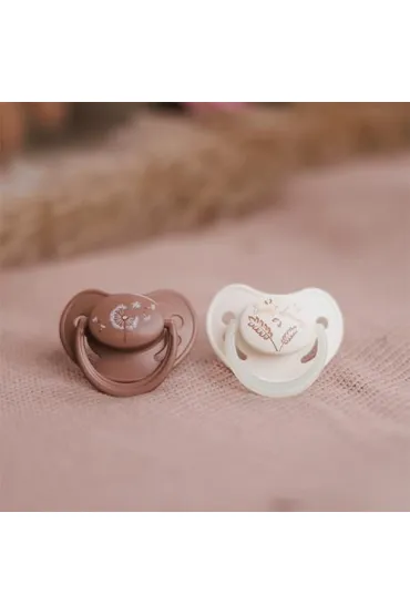 Babyono Smoczki anatomiczne silikonowe 18 m+ 2 szt.