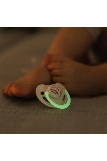 Babyono Smoczki anatomiczne silikonowe 18 m+ 2 szt.