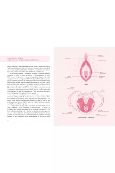 Ona. Zdrowie, seksualno��, �wiczenia mi�ni dna miednicy - Kamila  Raczy�ska-Chomyn, Ewelina  Tyszko-Bury