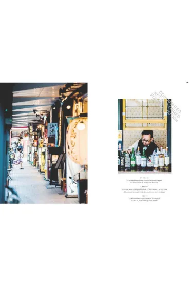 Tokyo Guide wer. angielska - Johann Fleuri, Pierre Javelle