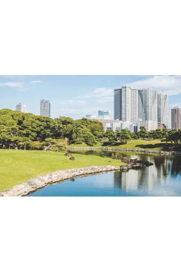 Tokyo Guide wer. angielska - Johann Fleuri, Pierre Javelle