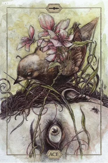 Hush Tarot - Jeremy  Hush