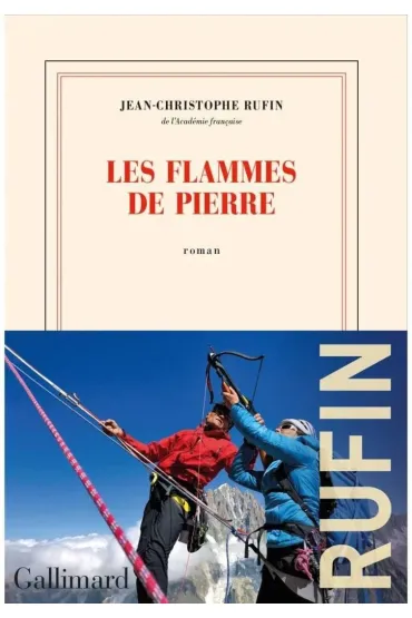 Flammes de pierre - Jean-Christophe Rufin