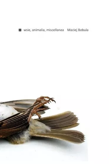 Wsie, animalia, miscellanea - Maciej  Bobula