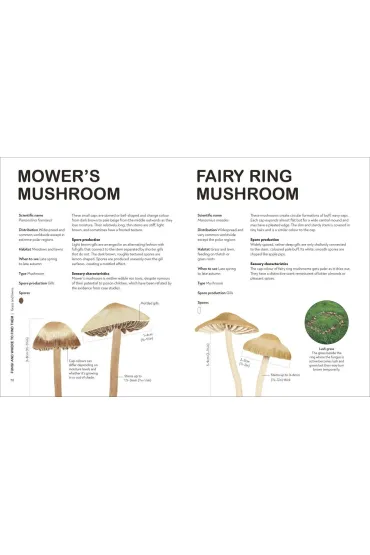 RHS Fungi for Gardeners