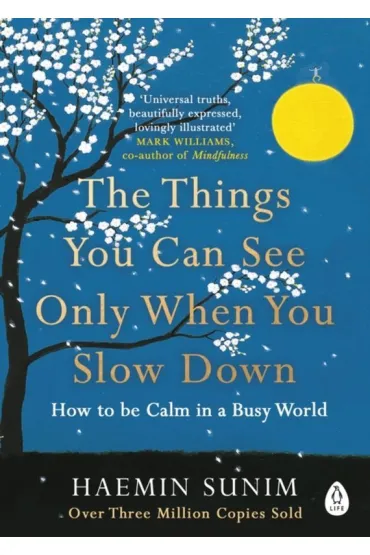 The Things You Can See Only When You Slow Down wer. angielska - Dafaux Marini, Sunim Haemin