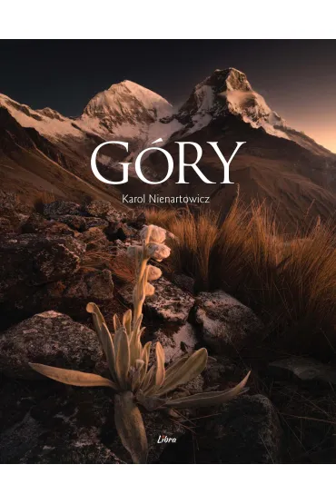 G�ry - Karol Nienartowicz