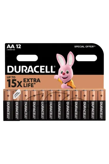 Duracell Basic MN1500 AA Alkaline Batteries 12 pcs.