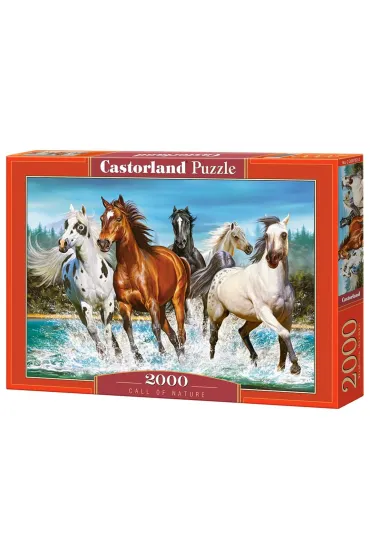 Puzzle 2000 el. Call of Nature Castorland