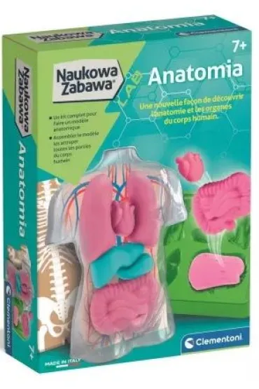 Anatomia zestaw kreatywny Clementoni