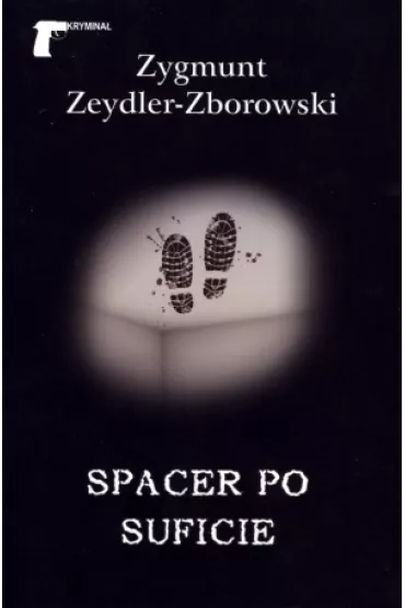 Spacer po suficie - Zygmunt Zeydler Zborowski