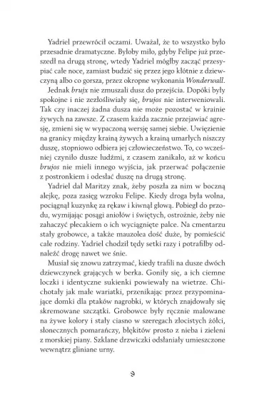 Stranicy dusz - Aiden Thomas