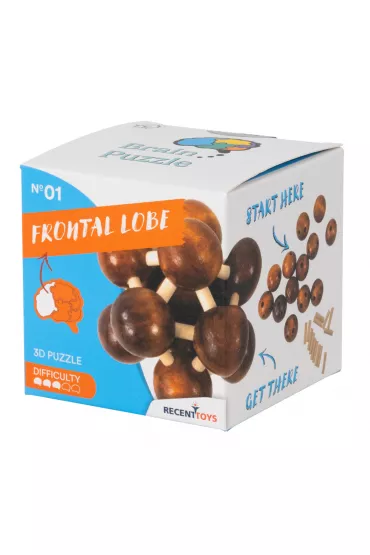 �amig��wka Brain Puzzle 1 Frontal Lobe Recent Toys poziom 3/5 G3