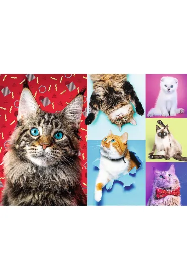 Puzzle 1000 el. Weso�e koty Trefl