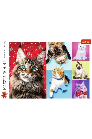Puzzle 1000 el. Weso�e koty Trefl