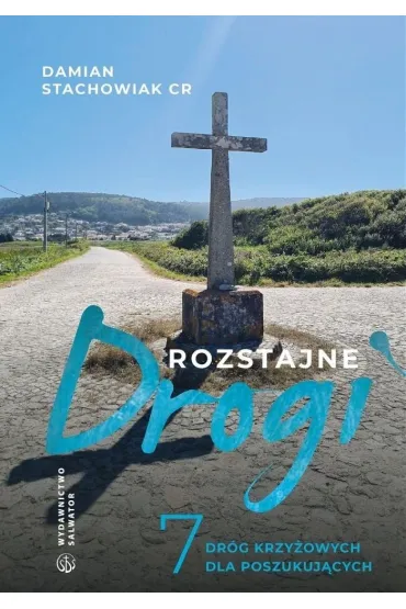 Rozstajne drogi. 7 dr�g krzy�owych dla pocz�tkuj�cych - Damian  Stachowiak Cr