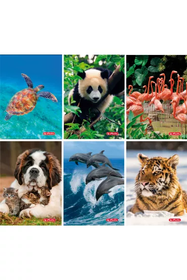 Herlitz Zeszyty A5 Animals dwie linie 16 kartek 10 szt.