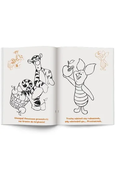 Disney Kubu� i przyjaciele Kolorowanka z naklejkami NA-9147