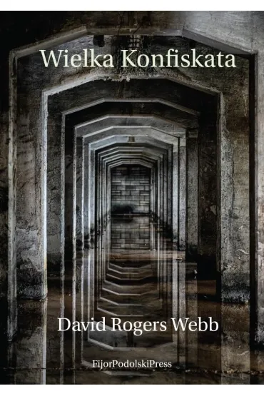 Wielka Konfiskata - David Rogers Webb