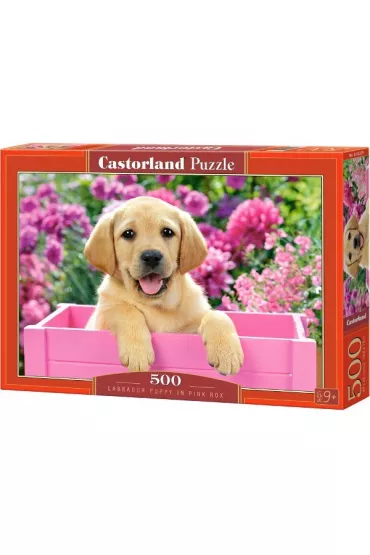 Puzzle 500 el. Labrador Puppy in Pink Box Castorland