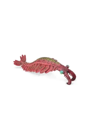 Anomalocaris