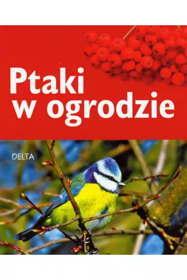 Ptaki w ogrodzie - Ulrich Schmid