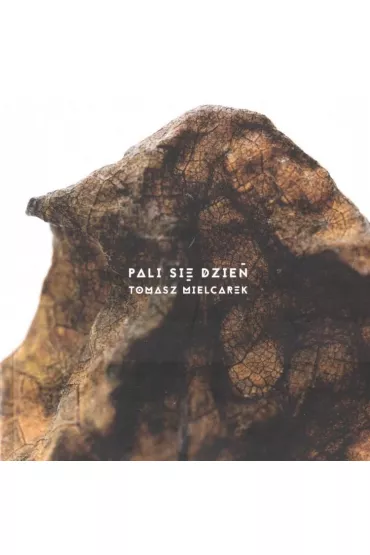 Pali si� dzie� - Tomasz Mielcarek