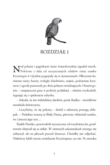 Tunel w za�wiaty. Wakacje z Koszmarkiem. Tom 3 - Justyna Drzewicka