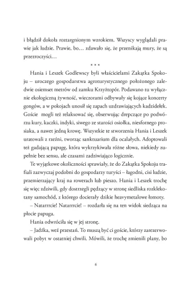 Tunel w za�wiaty. Wakacje z Koszmarkiem. Tom 3 - Justyna Drzewicka