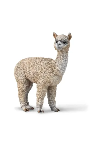 Alpaka